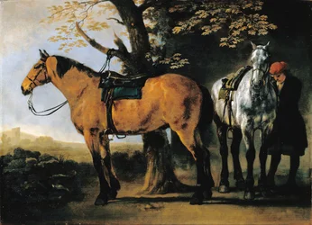 Dois cavalos